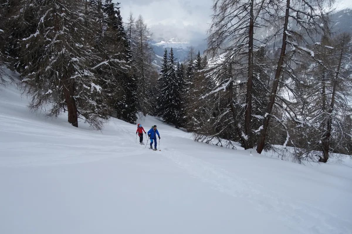 Zwei Skitourengeher im Aufstieg bei ihrer ersten Skitour mit den innsbrucker Bergführern am Sattelberg