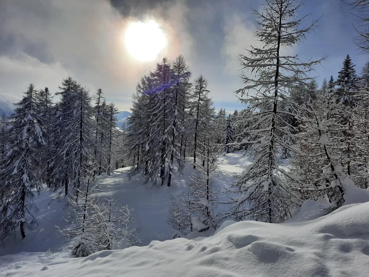 Tief verschneiter Wald und winterstimmung im Wipptal